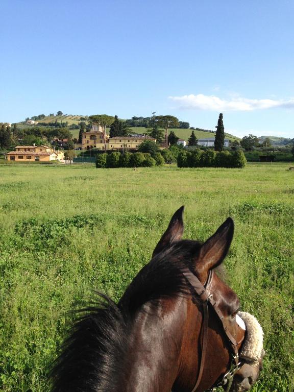 Castellalto Agriturismo Villa Irelli מראה חיצוני תמונה
